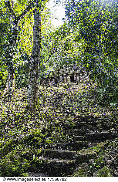 Mexiko  Chiapas  Schritte in der alten archäologischen Maya-Stätte von Yaxchilan