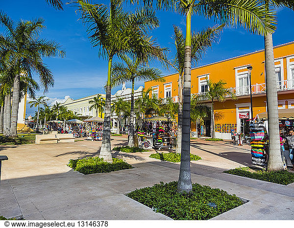 Mexiko  Yucatanm Quintana Roo  Cozumel  Banco Playa