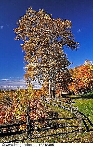 Michigan Herbst Farbe landschaftlich in der oberen Halbinsel während Herbstfarben.
