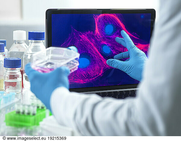 Microbiologist examining cells on device screen in laboratory