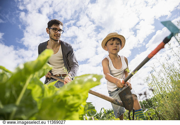 Mid adult man with his son working in community garden