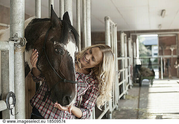 Mid adult woman stroking her horse in barn and smiling  Bavaria  Germany