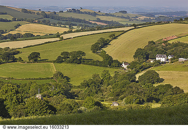 Mid-Devon agricultural countryside in early summer  seen from the prehistoric Cadbury Castle  near Tiverton  Devon  England  United Kingdom  Europe