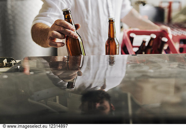 Mid section of brewery worker holding beer bottles