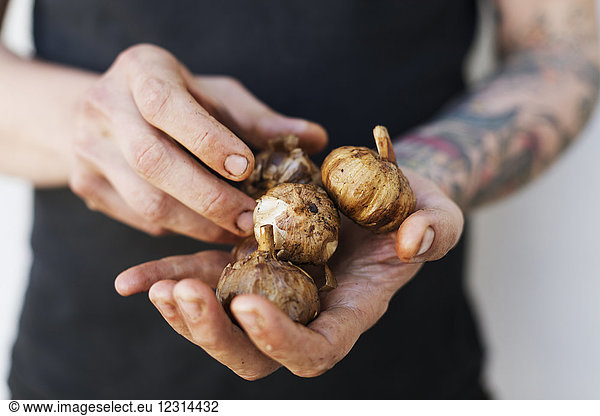 Mid section of man holding fresh garlic