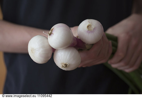 Mid section view of a man holding spring onions  Freiburg im breisgau  Baden-württemberg  Germany