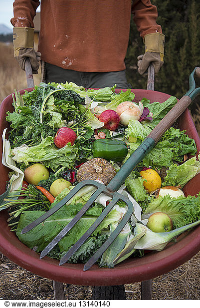 Midsection man carrying fruits and vegetables in wheelbarrow