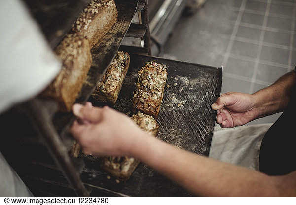 Midsection of baker holding fresh baked breads in tray on cooling rack at bakery