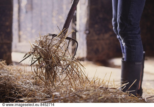Midsection of farmer shoveling hay in barn