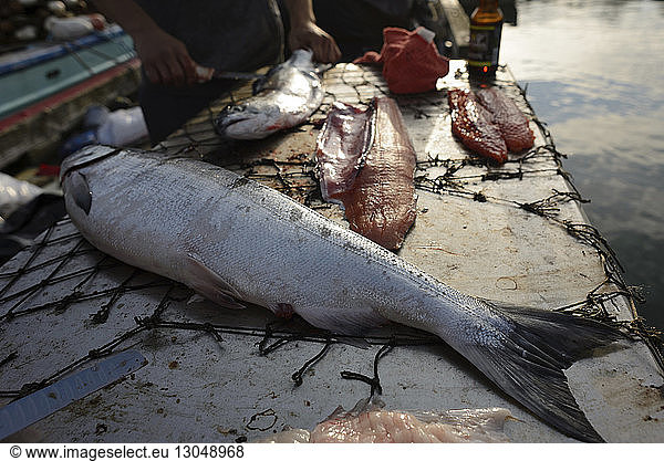 Midsection of fisherman cutting fish at table