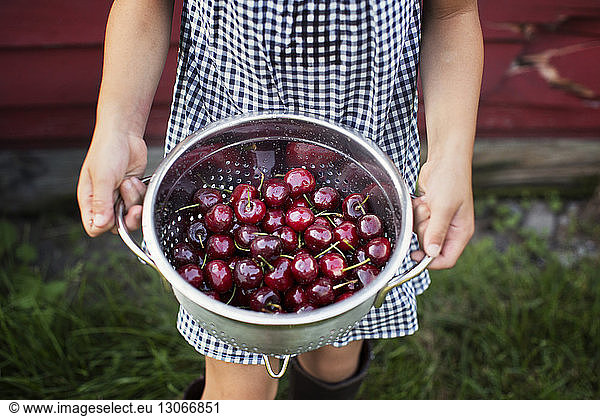 Midsection of girl carrying cherries in container