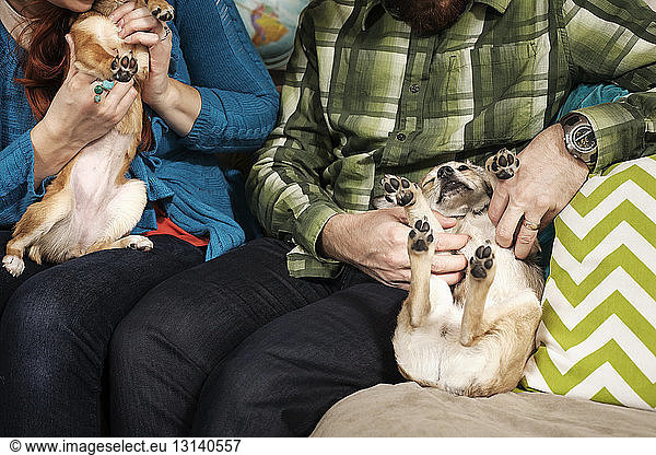 Midsection of man and woman playing with puppies while sitting on sofa