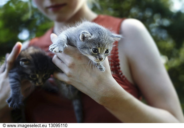 Midsection of woman carrying kittens at park
