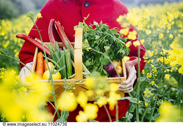 Midsection of woman carrying vegetable basket
