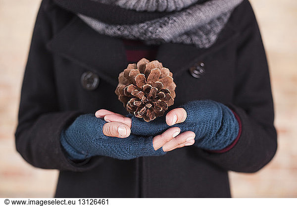 Midsection of woman holding pine cone