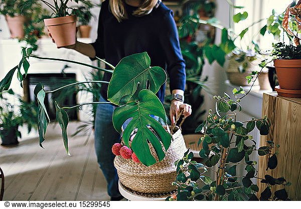 Midsection of woman holding potted plant standing in room at home