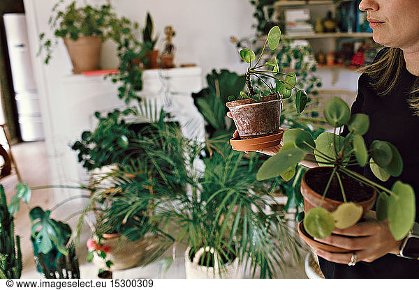 Midsection of woman holding potted plants at home