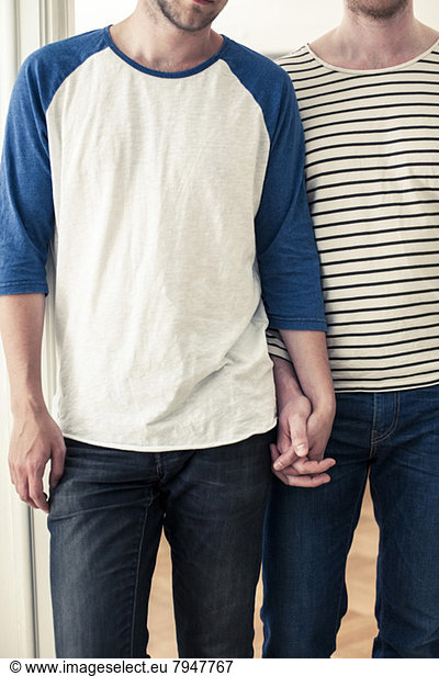 Midsection of young homosexual couple holding hands at home