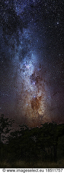 Milky way  Etosha National Park  Namibia  Africa