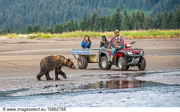 Millennials auf einer Bärenbeobachtungsreise in Alaska