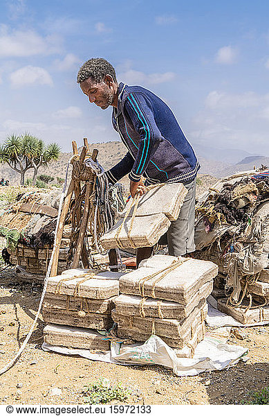 Miner picking up salt blocks extracted from salt flats  Dallol  Danakil Depression  Afar Region  Ethiopia  Africa