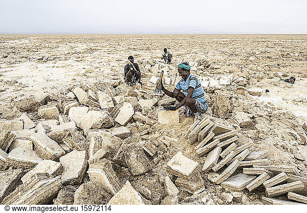 Miners working hard in the salt flat  Danakil Depression  Afar Region  Ethiopia  Africa