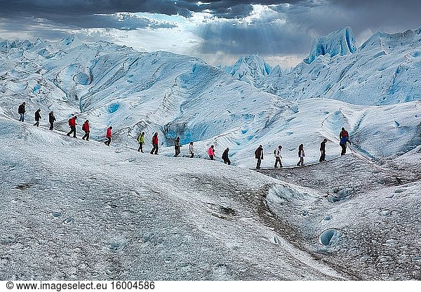 Mini trekking. Walk on the glacier with crampons. Perito Moreno glacier. Los Glaciares National Park. Near El Calafate. Santa Cruz province. Patagonia. Argentina.