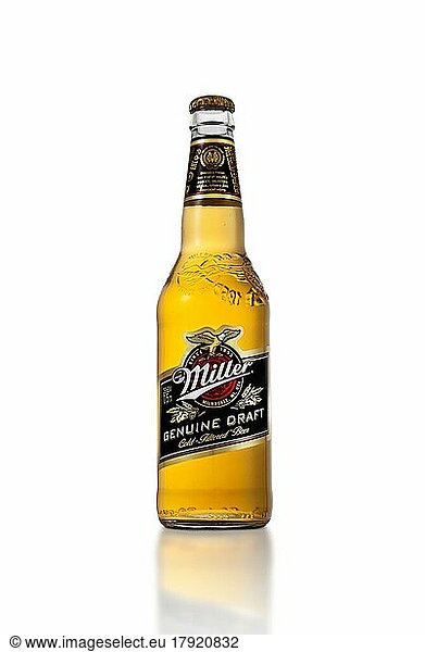 MINSK  BELARUS  October 3  2016: Miller Genuine Draft cold filtered not pasteurized beer nicknamed MGD. MGD received the gold medal in the American-style Premium Lager category at 1999 World Beer Cup