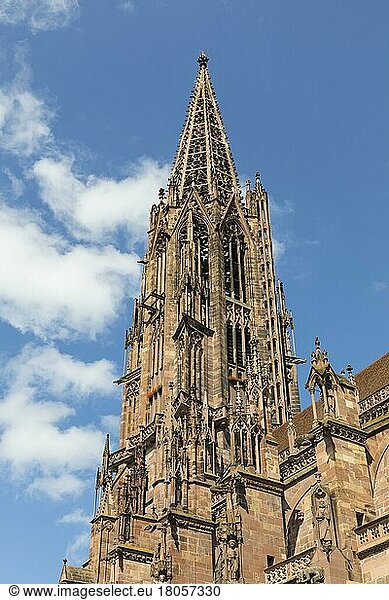 Minster tower  Cathedral of Freiburg im Breisgau  Baden-Württemberg  Germany  Europe