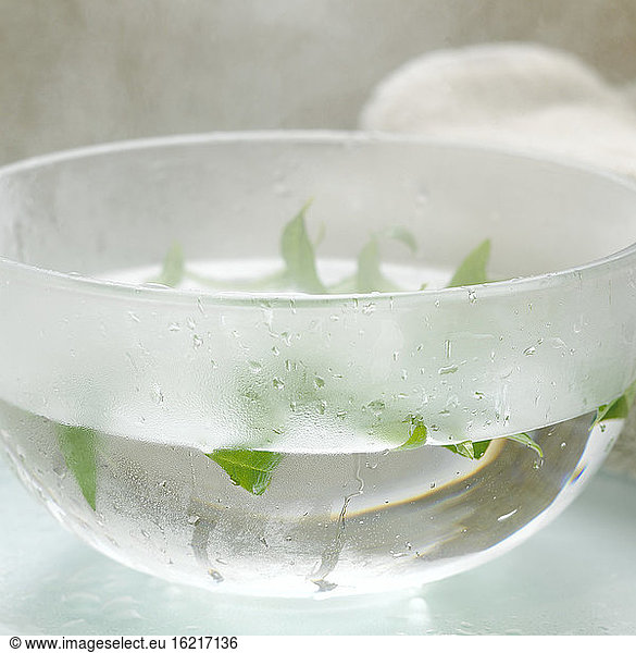 Mint in bowl with hot water