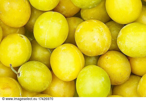 Mirabellen Früchte Mirabelle Frucht gelbe Zwetschge Pflaume Hintergrund