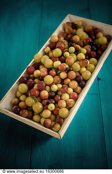 Mirabelles in a box