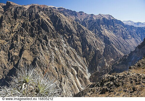 Mirador Cruz del Condor (Kondor-Aussichtspunkt) in der Nähe des Colca Canyon  Peru