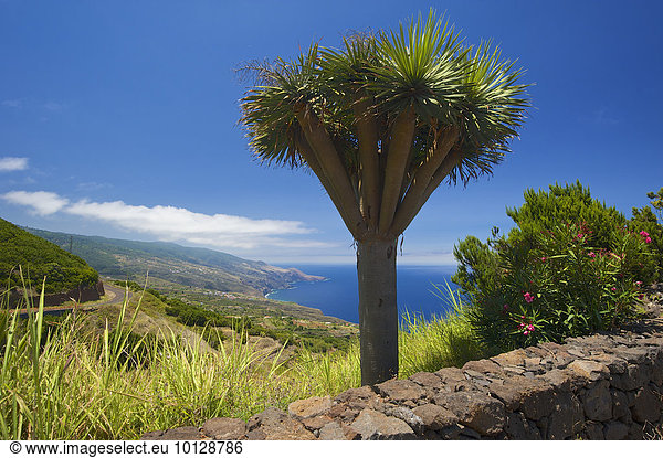 Mirador de La Tosca,  La Palma,  Kanarische Inseln,  Spanien,  Europa