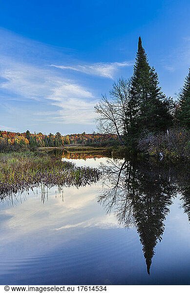Mirror image of trees in autumn colours around a lake in the Laurentides of Quebec  Canada; Quebec  Canada