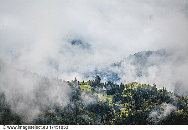 mist and clouds obscure green hilly forested mountainside