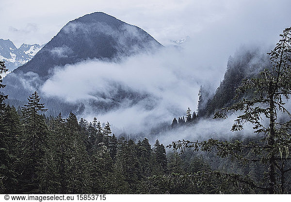 Mist and fog in the valleys of north cascades national park Washington