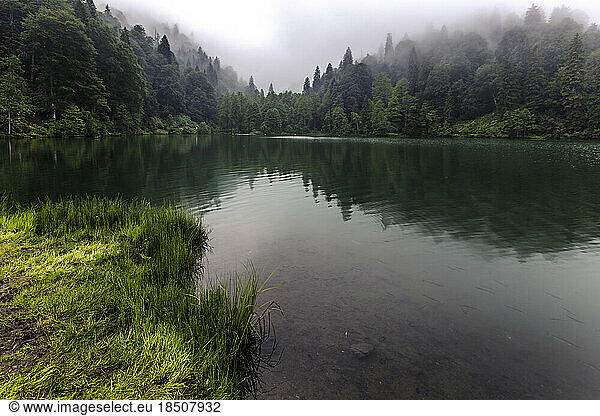 Misty Dark Lake
