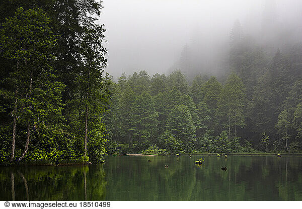 Misty Dark Lake