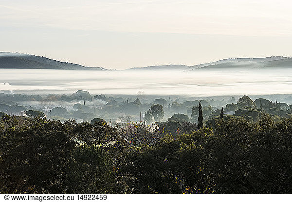 Misty landscape with trees and hills in the distance.