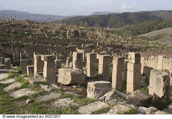 Mit Blick auf die römische Seite des Djemila  UNESCO Weltkulturerbe  Algerien  Nordafrika  Afrika
