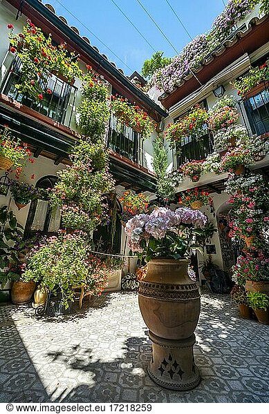 Mit Blumen geschmückter Innenhof  Fiesta de los Patios  Cordoba  Andalusien  Spanien  Europa