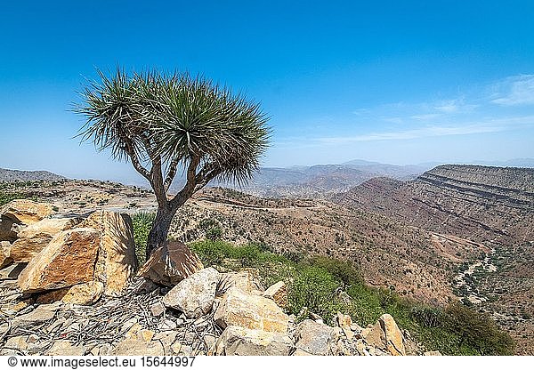 Mit Felsen und Sträuchern bewachsene Berge und Täler, Afar-Dreieck, Äthiopien, Afrika