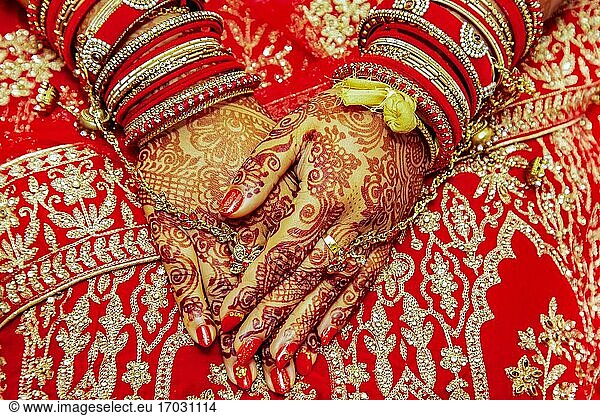 Mit Mehendi dekorativ bemalte Hand einer Braut  Mauritius  Afrika