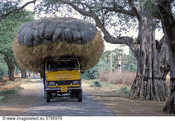 Mit Stroh überladener Lastwagen  Landstra_e bei Chikmagalur  Karnataka  Südindien  Indien  Asien