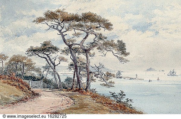 Mitchell Philip - View from the Earl's Ride in Mount Edgcombe Across Plymouth Sound - British School - 19th Century.