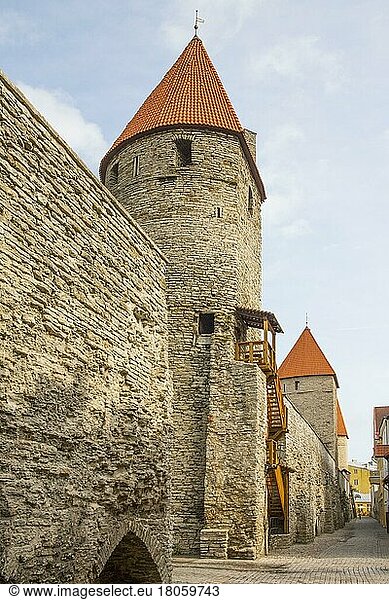 Mittelalterliche Stadtbefestigung mit Wehrgängen und Wehrtürmen  Tallinn  Estland  Tallinn  Estland  Europa