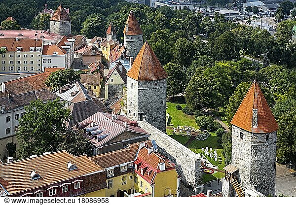 Mittelalterliche Stadtbefestigung mit Wehrgängen und Wehrtürmen  Tallinn  Estland  Tallinn  Estland  Europa