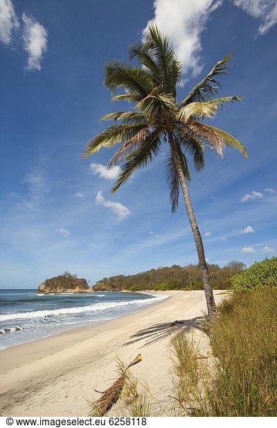 Mittelamerika  Costa Rica  Nicoya Halbinsel