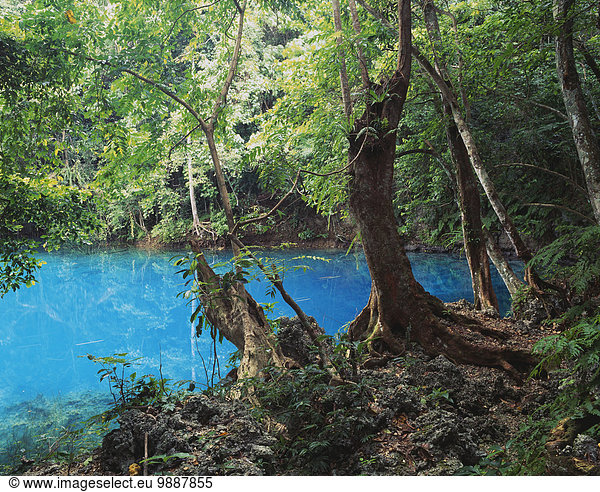 Mittelgroße Menschengruppe Mittelgroße Menschengruppen Loch Insel blau 1 Vanuatu